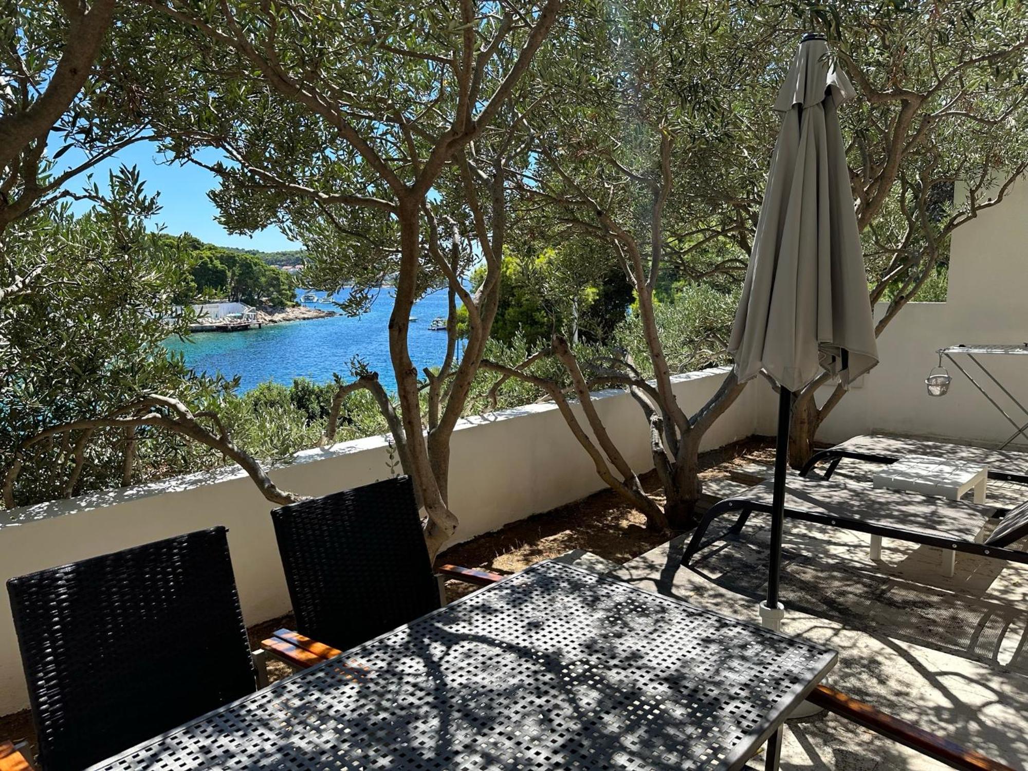 Hosta * Hvar Town