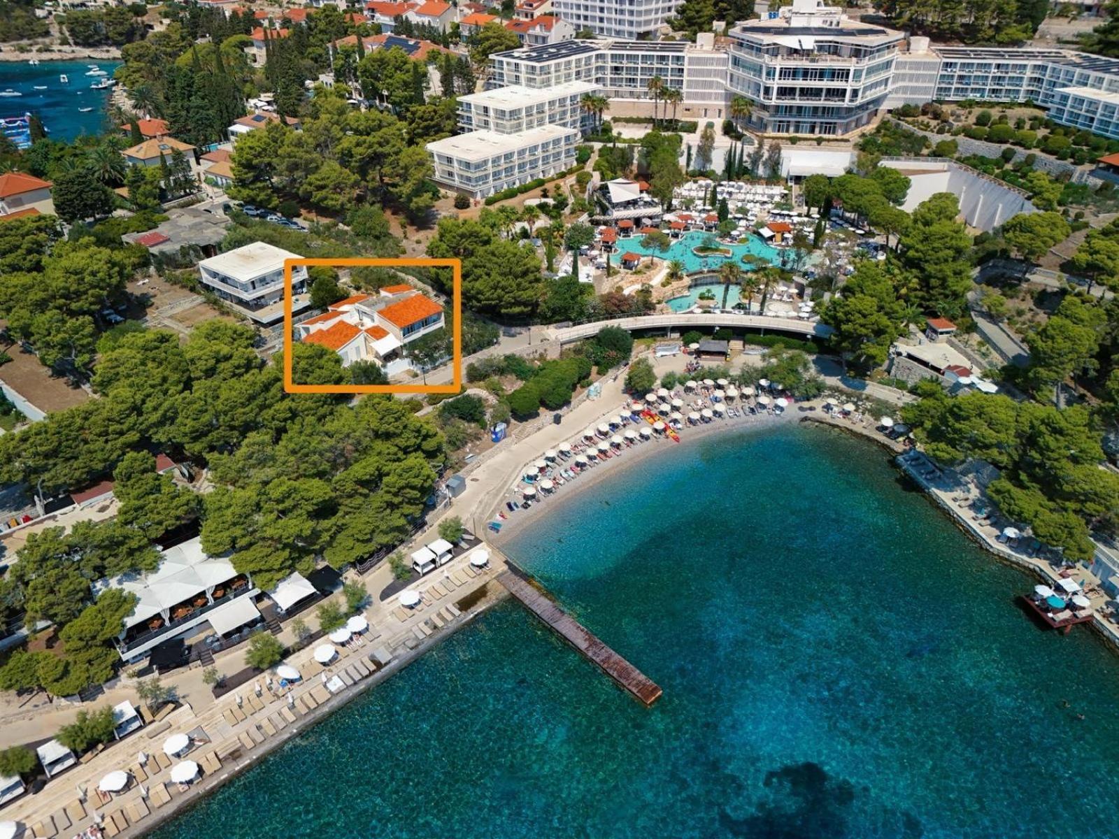 Hosta Hvar Town